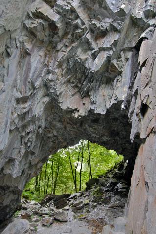 DSC_0107.jpg